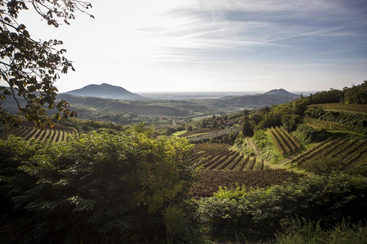 Agriturismo Le Volpi Baone Kültér fotó